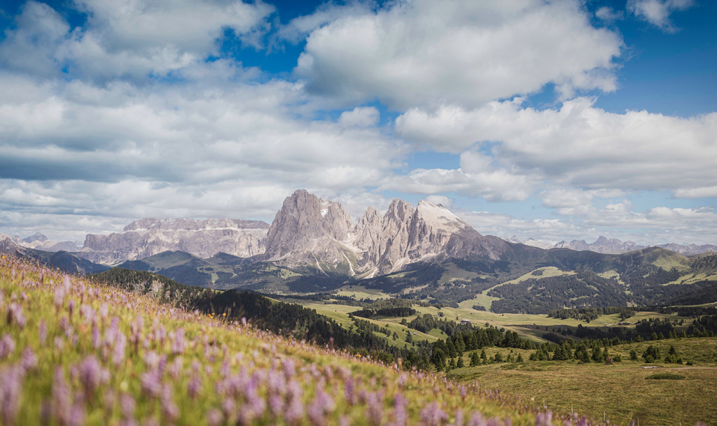Dolomiten Hideaway Seiser Alm 03