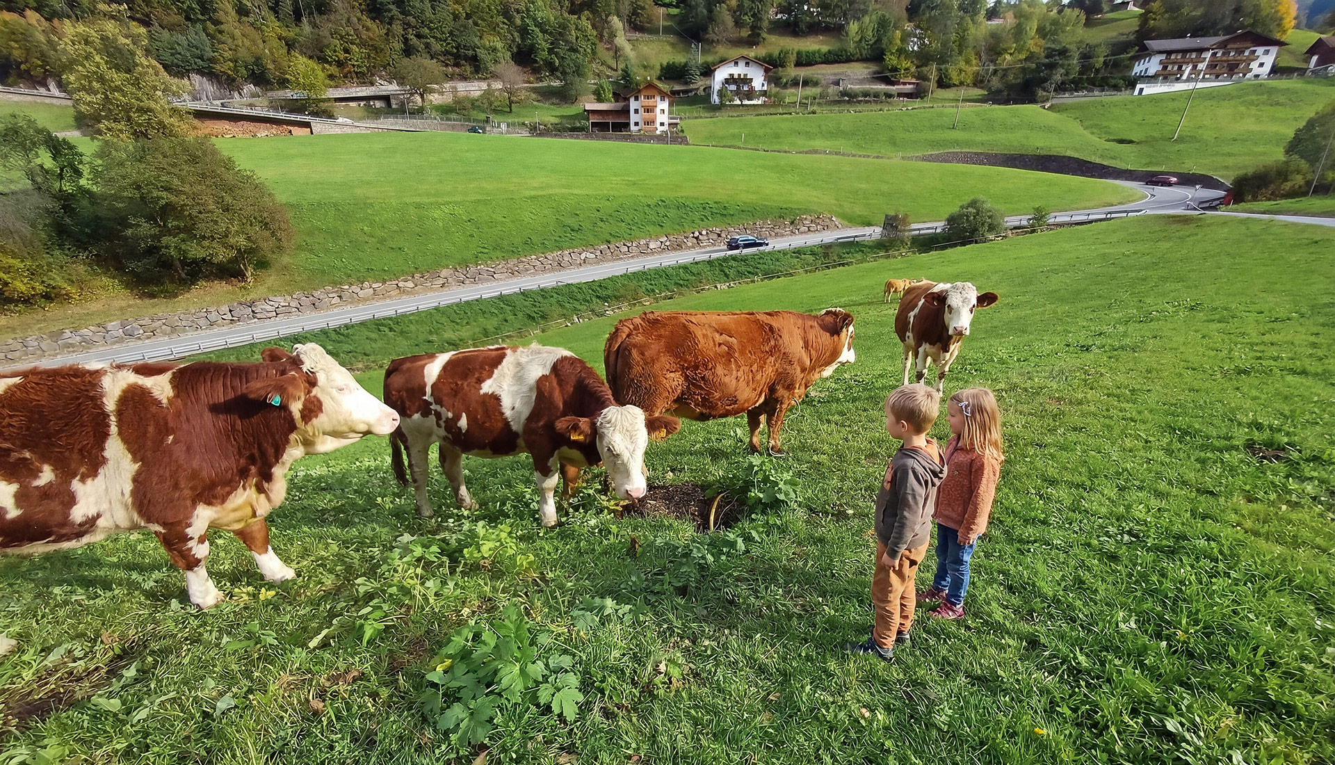 Familienurlaub Bauernhof Suedtirol 02