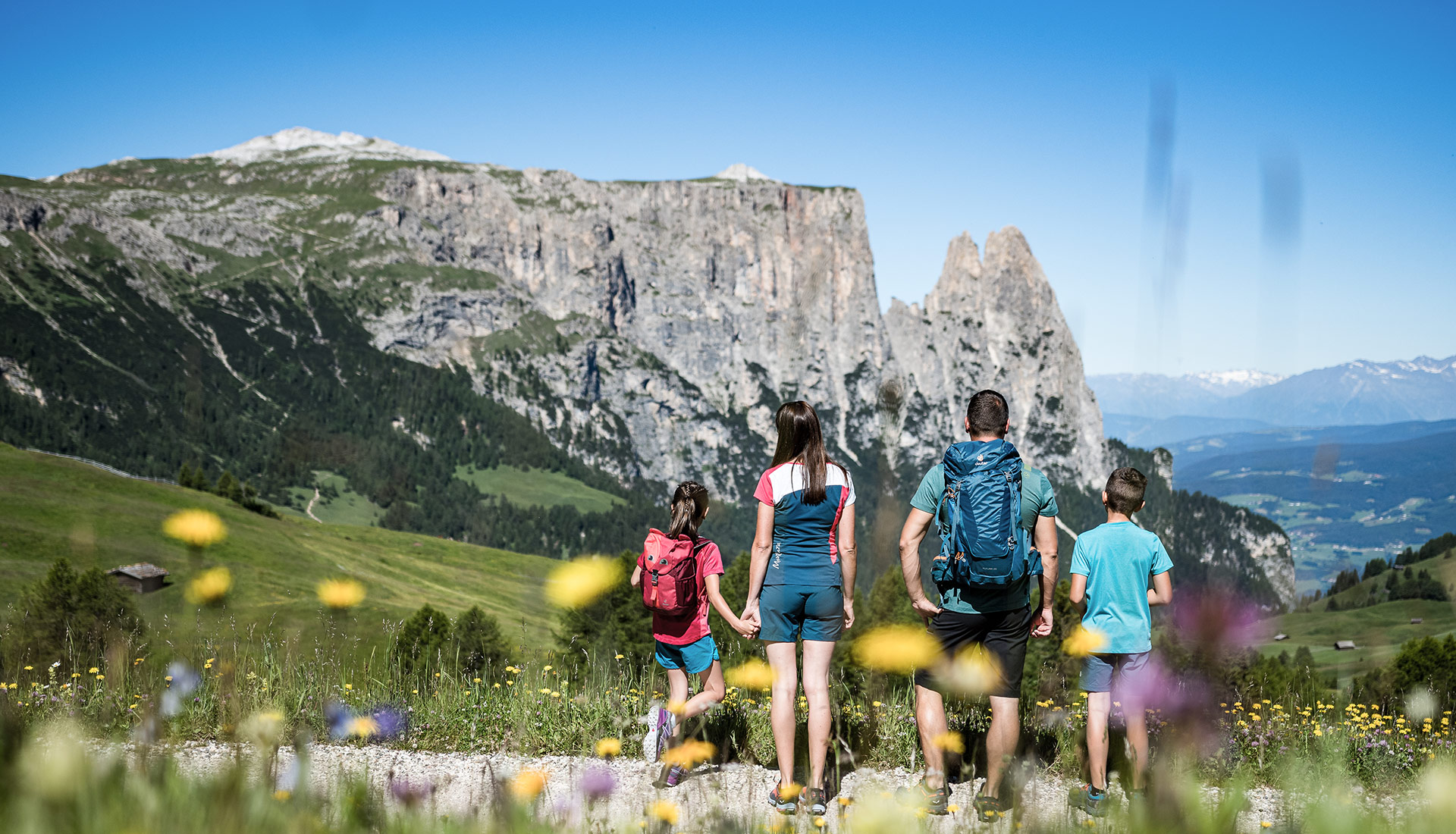 Farm Lodges Seiser Alm
