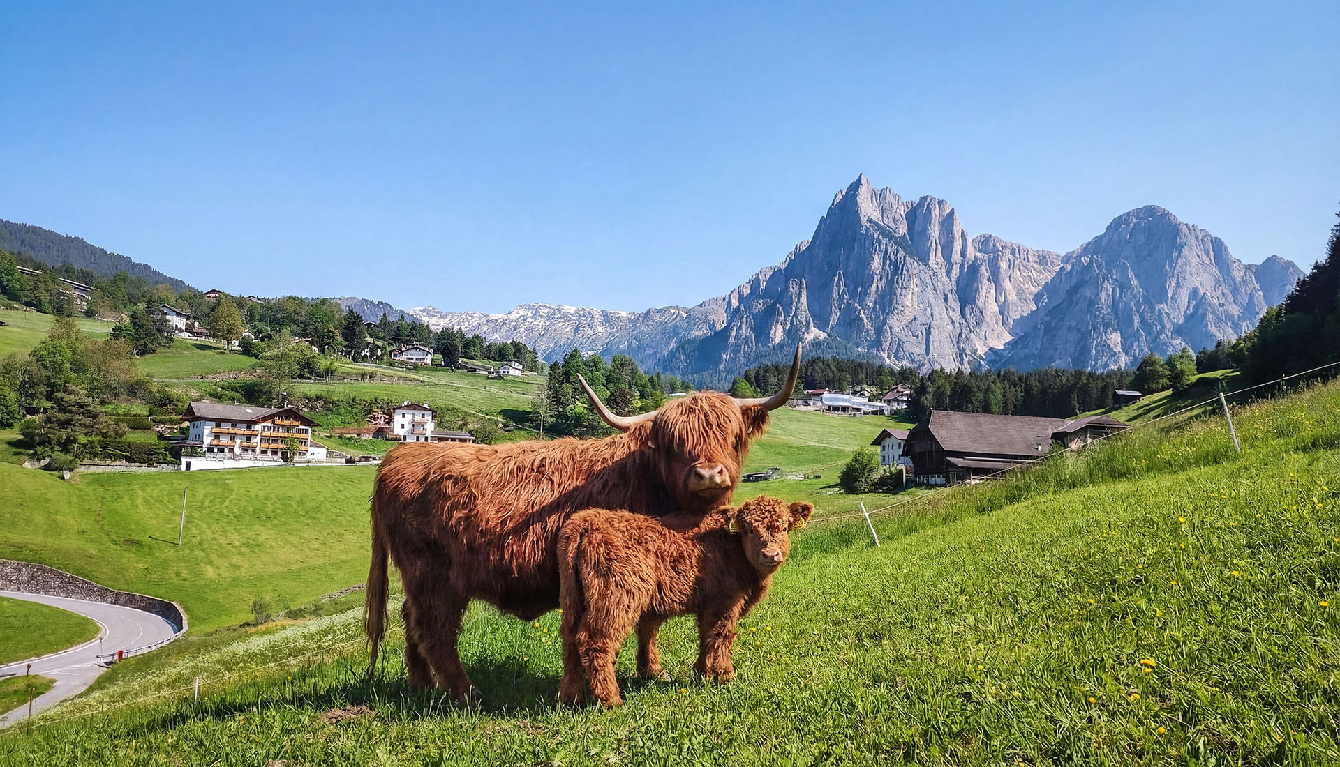 Panorama Lodges Schlern