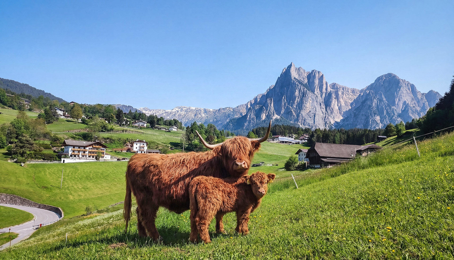 Pilgram Bauernhof Kastelruth Suedtirol
