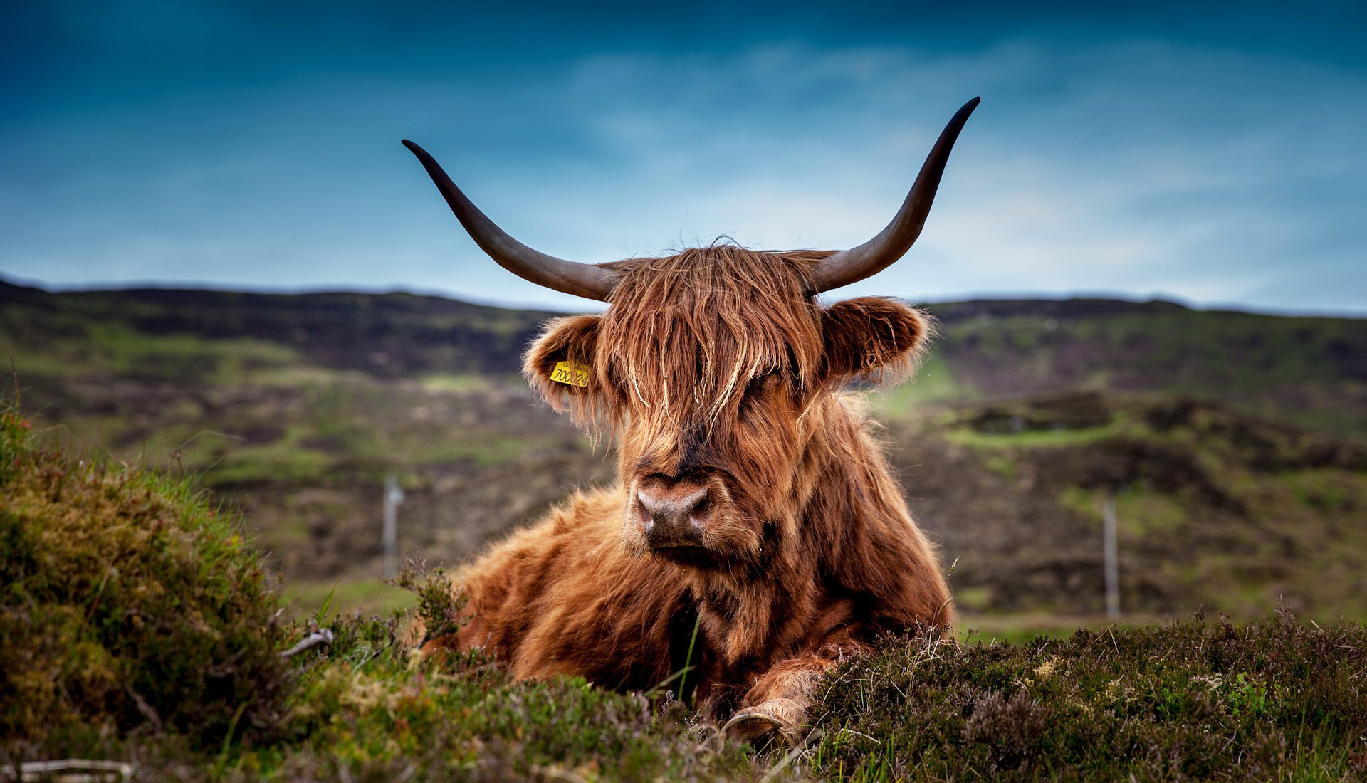 Pilgram Farm Lodges 03